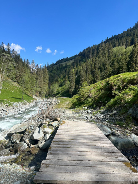 Brücke über den Hollersbach im Pinzgau